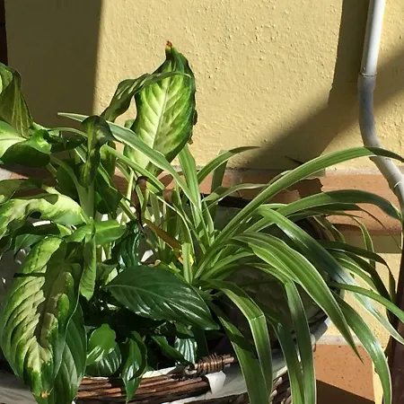 Casitas Uvas Y Vinas Holiday home