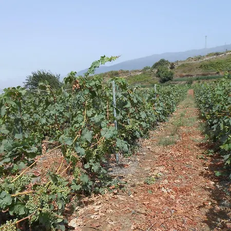 Casitas Uvas Y Vinas 度假居 洛斯雷尔雷赫斯