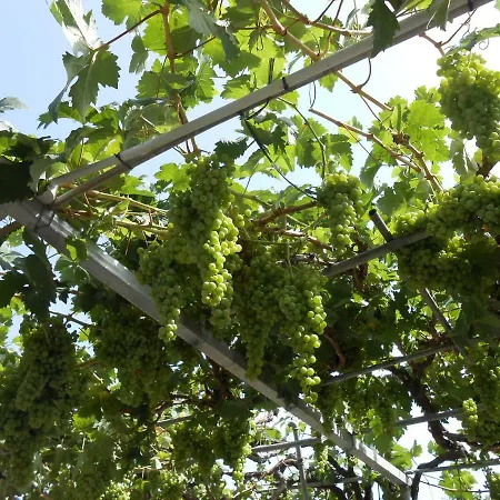 Casitas Uvas Y Vinas 度假居 洛斯雷尔雷赫斯