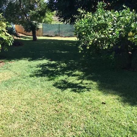 Casitas Uvas Y Vinas 洛斯雷尔雷赫斯