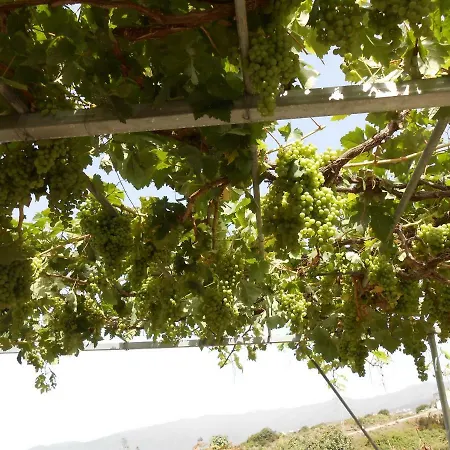 Casitas Uvas Y Vinas 度假居 *