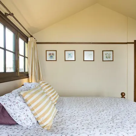 Casitas Uvas Y Vinas *