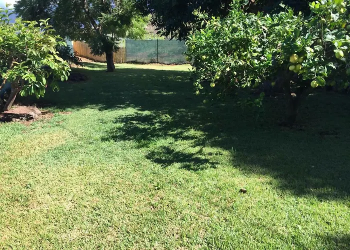 Casitas Uvas Y Vinas Los Realejos