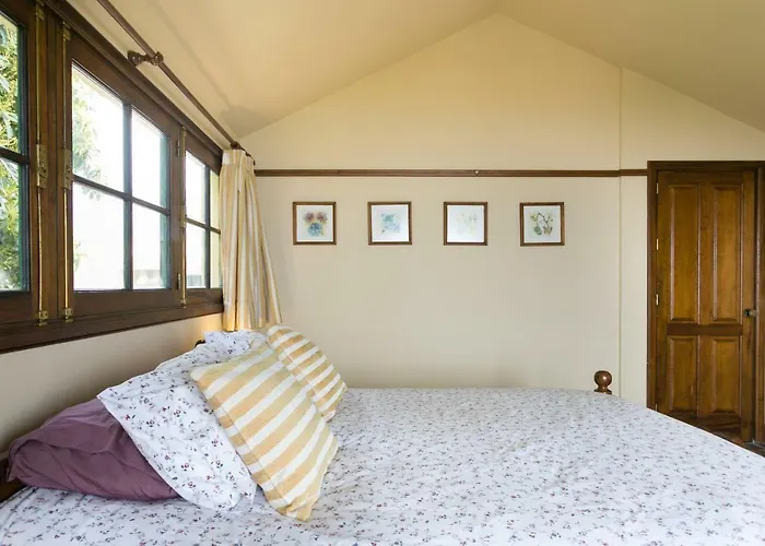 Casitas Uvas Y Vinas *